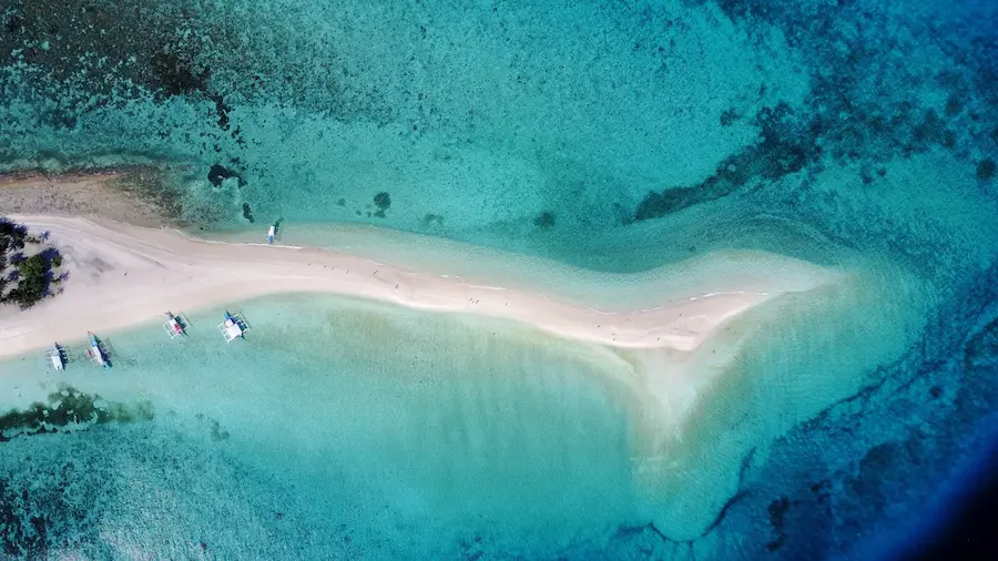 School of fish while diving in Gato Island Malapascua Philippines
